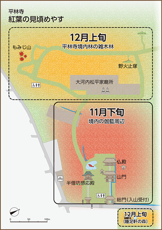 平林寺境内林 紅葉見ごろのめやす