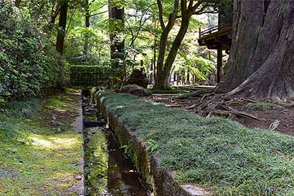 野火止用水